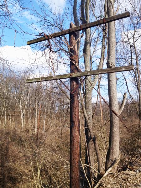 An abandoned utility pole along the C&O of Indiana ROW west of Guerley Road in West Price Hill