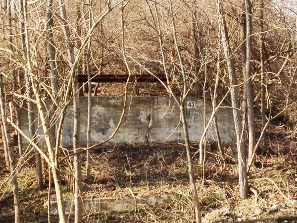 Close up of the C&O of Indiana bridge abutment from the last photo in West Price Hill