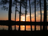 DSCN0945