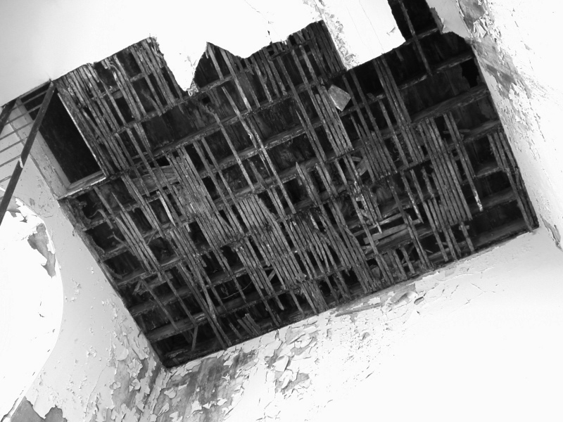 DSCN3868 copy