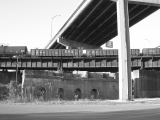 DSCN5412