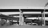 DSCN5411