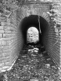 DSCN5629_2