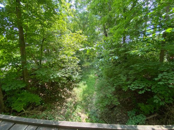 Typical condition of the Whitewater Canal along US-52 near the Yellowbank trailhead
