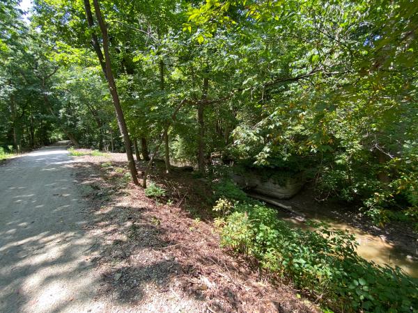 Whitewater Canal lower twin lock 22