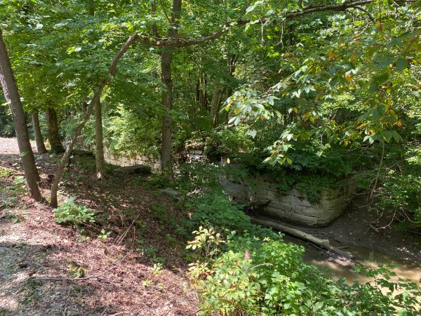 Detail of Whitewater Canal lower twin lock 22