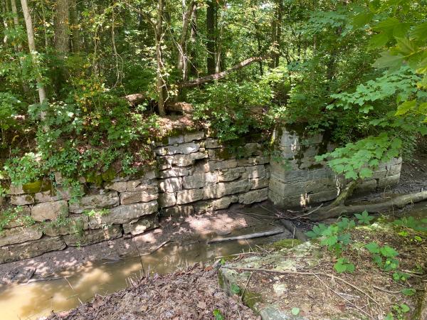 Detail of Whitewater Canal lower twin lock 22