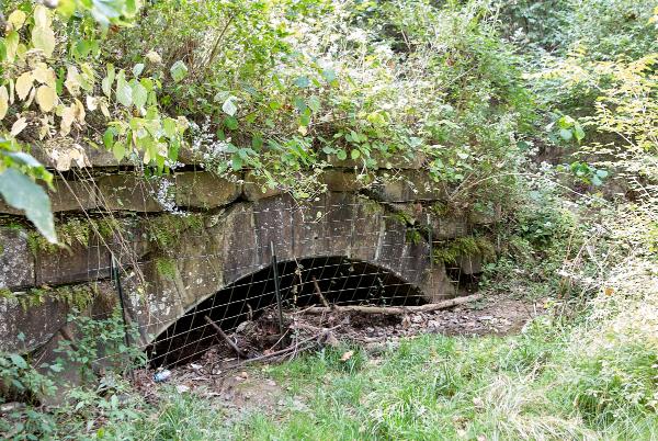 Another view of the north portal of the Cincinnati & Whitewater Canal tunnel in Cleves