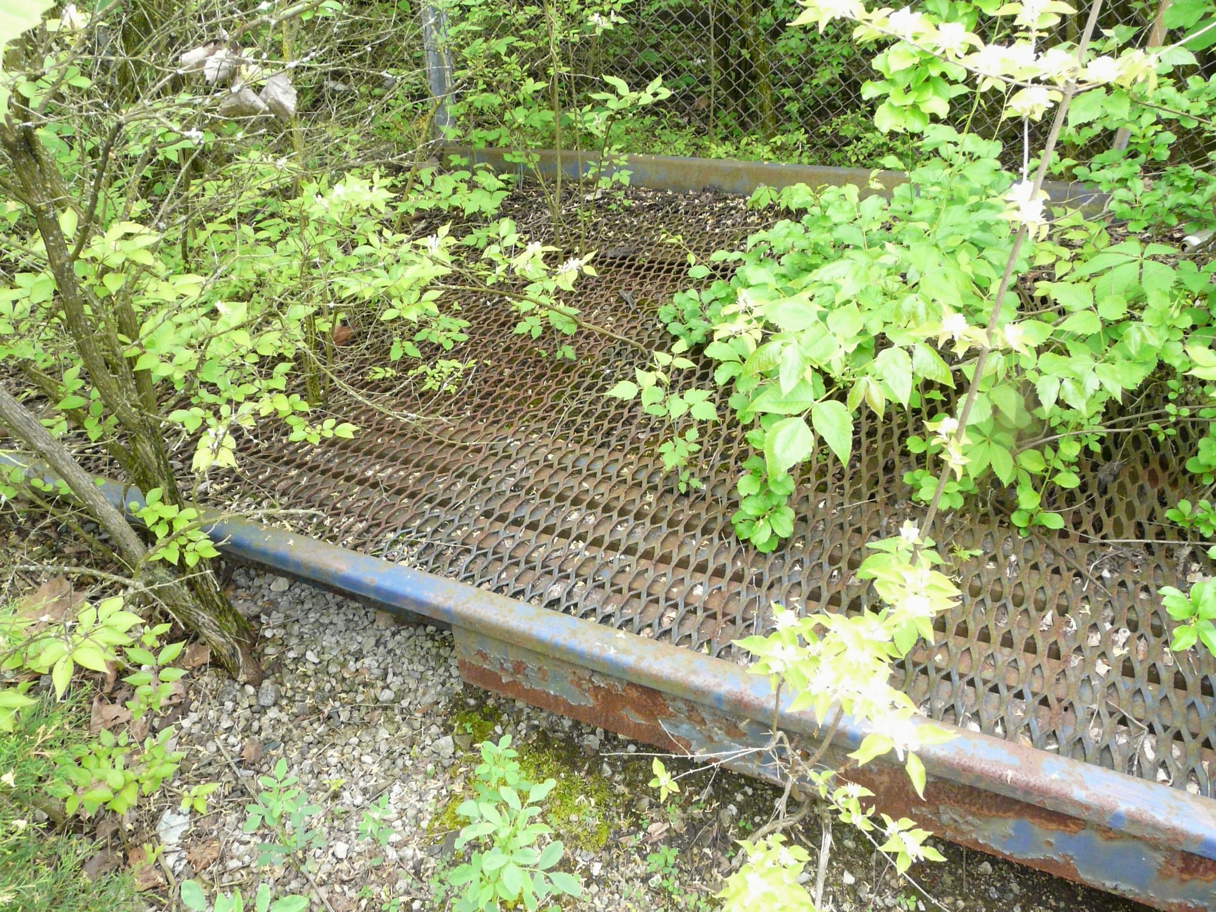 0079_P1000806