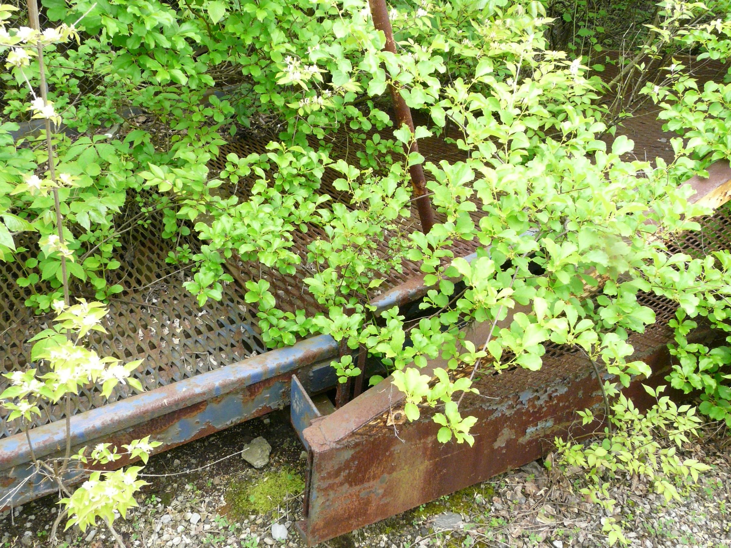 0080_P1000807