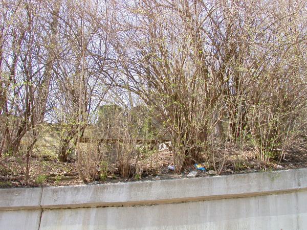 Cincinnati & Westwood bridge abutments at White Street in South Fairmount