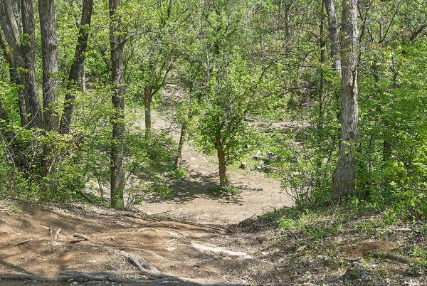 Looking down the north slope of the Cincinnati & Westwood fill from the last photo