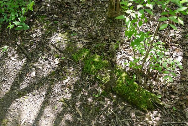 A lone railroad tie along the Cincinnati & Westwood right-of-way
