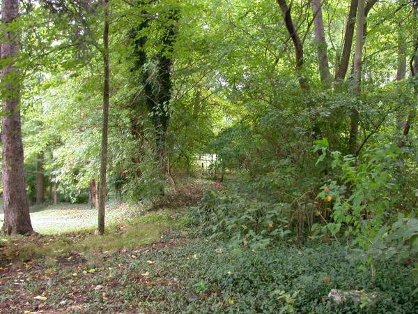Cincinnati & Westwood right-of-way at the end of Dirheim Avenue in Westood
