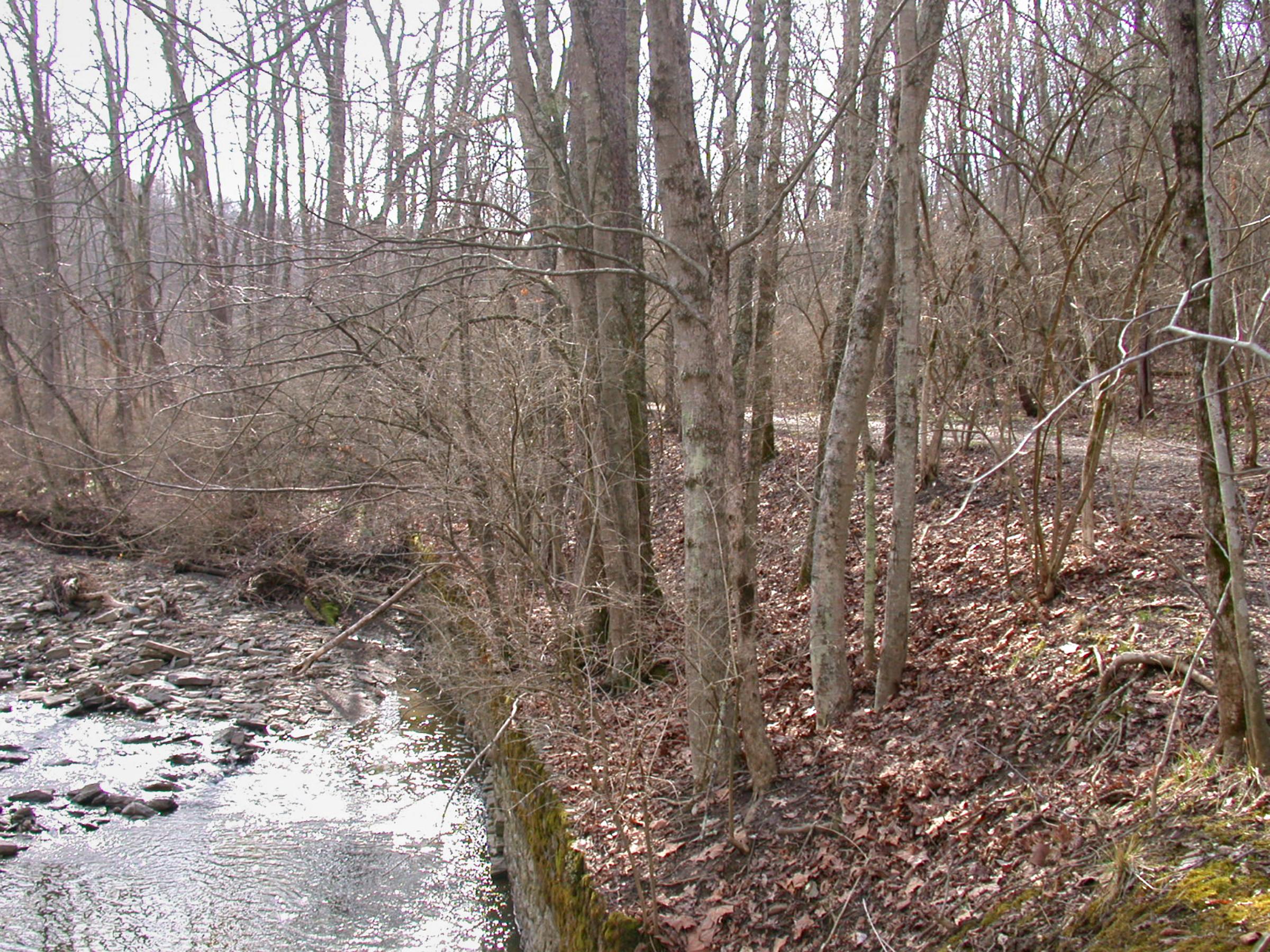 0063_CincinnatiColumbus-31