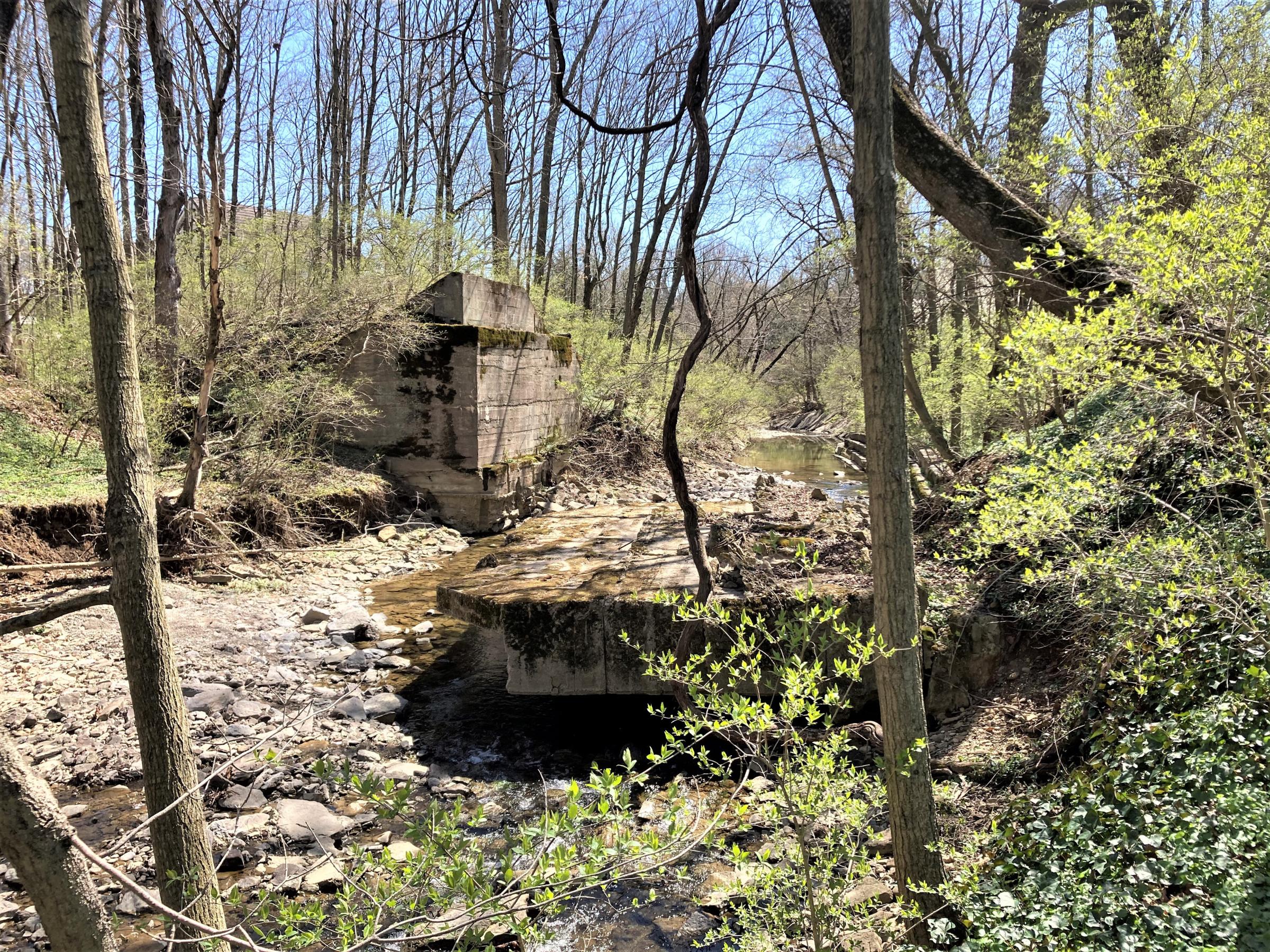 0071_2021-04-02 12.43.35