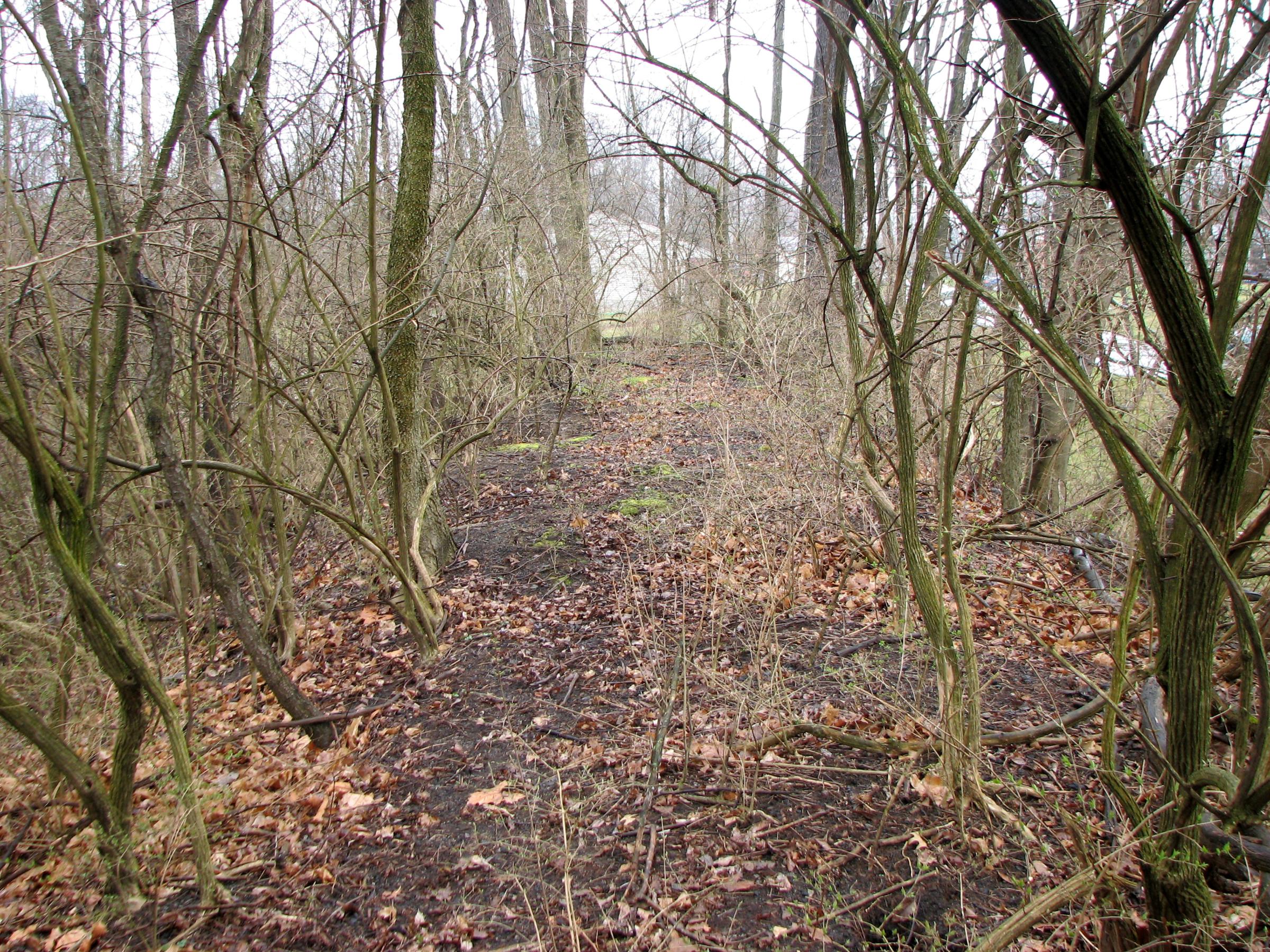 0096_IMG_7039