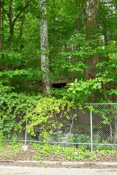 CG&P culvert as viewed from an abandoned stretch of Kellogg Avenue near Salem Avenue