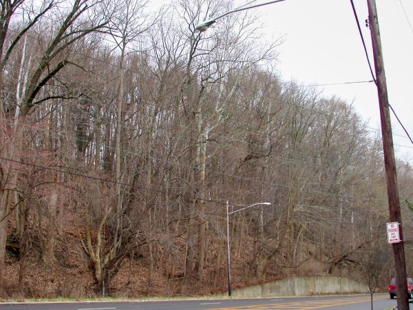 CG&P ROW, looking south across Kellogg Avenue towards California Woods Preserve
