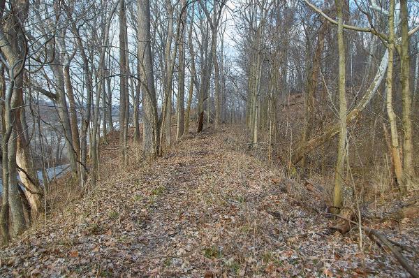 CG&P ROW near Kellogg Avenue in California Woods