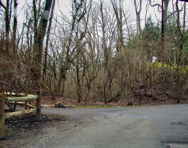 CG&P ROW at the end of Moon Valley Lane in Mt. Washington