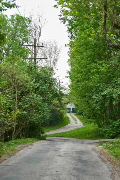 Salem Woods Lane in Mt. Washington