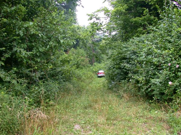 CG&P ROW at Lockard Avenue in Mt. Washington