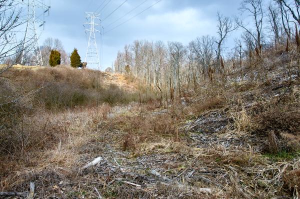Cincinnati & Eastern New Richmond Branch grading along Dry Run at Tobasco Junction