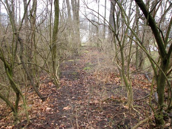 CG&P right-of-way approaching Hall Run in Mt. Carmel