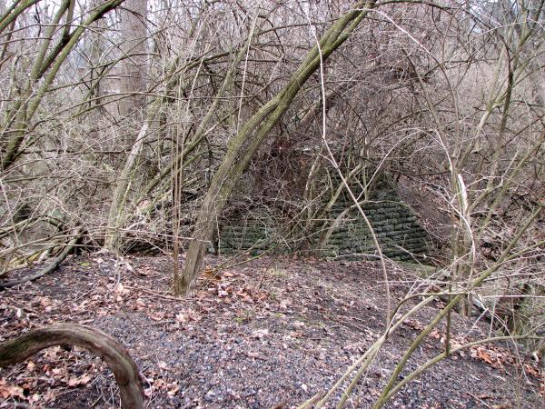 CG&P right-of-way approaching Hall Run in Mt. Carmel