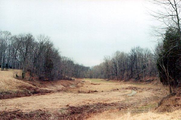 Remains of Lake Allyn