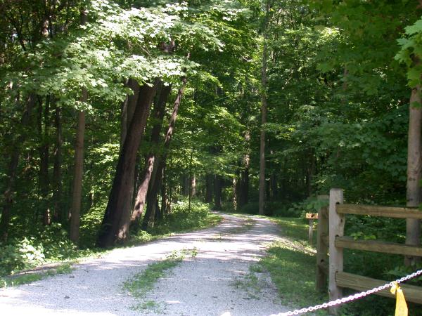 CG&P ROW at the end of Lake Allyn Road in Olive Branch