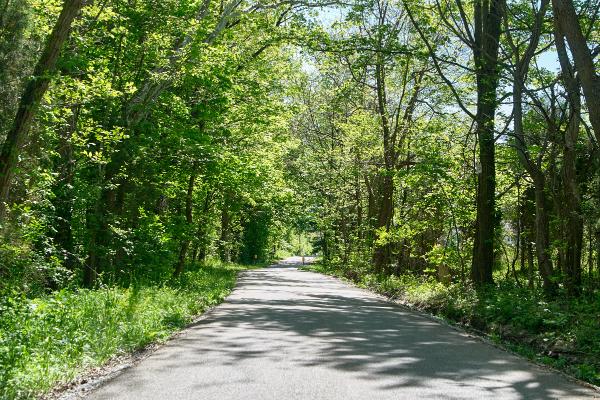 CG&P ROW along Hullington Road in Hullington