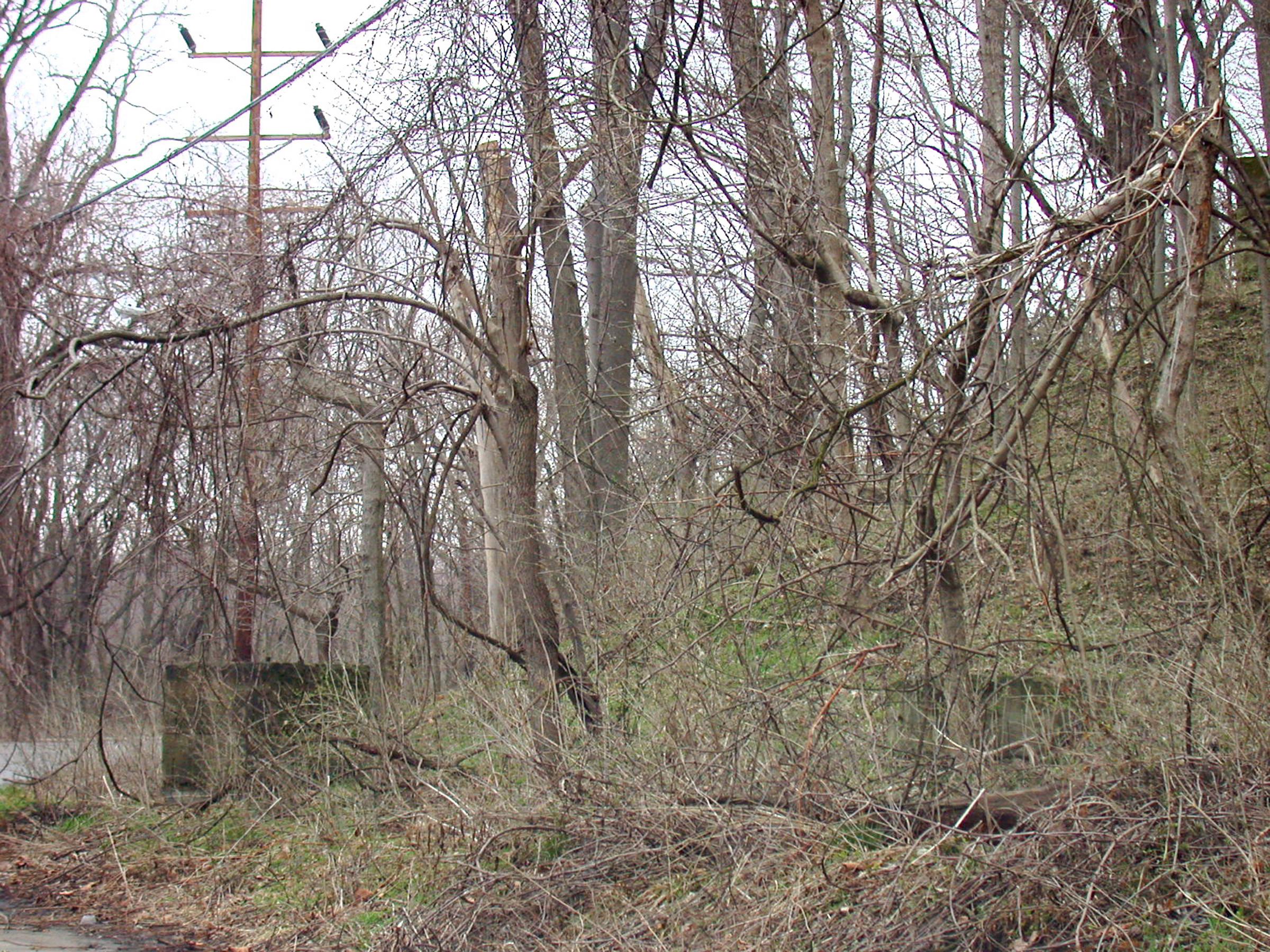 0002_Cincinnati_GeorgetownPortsmouth-12