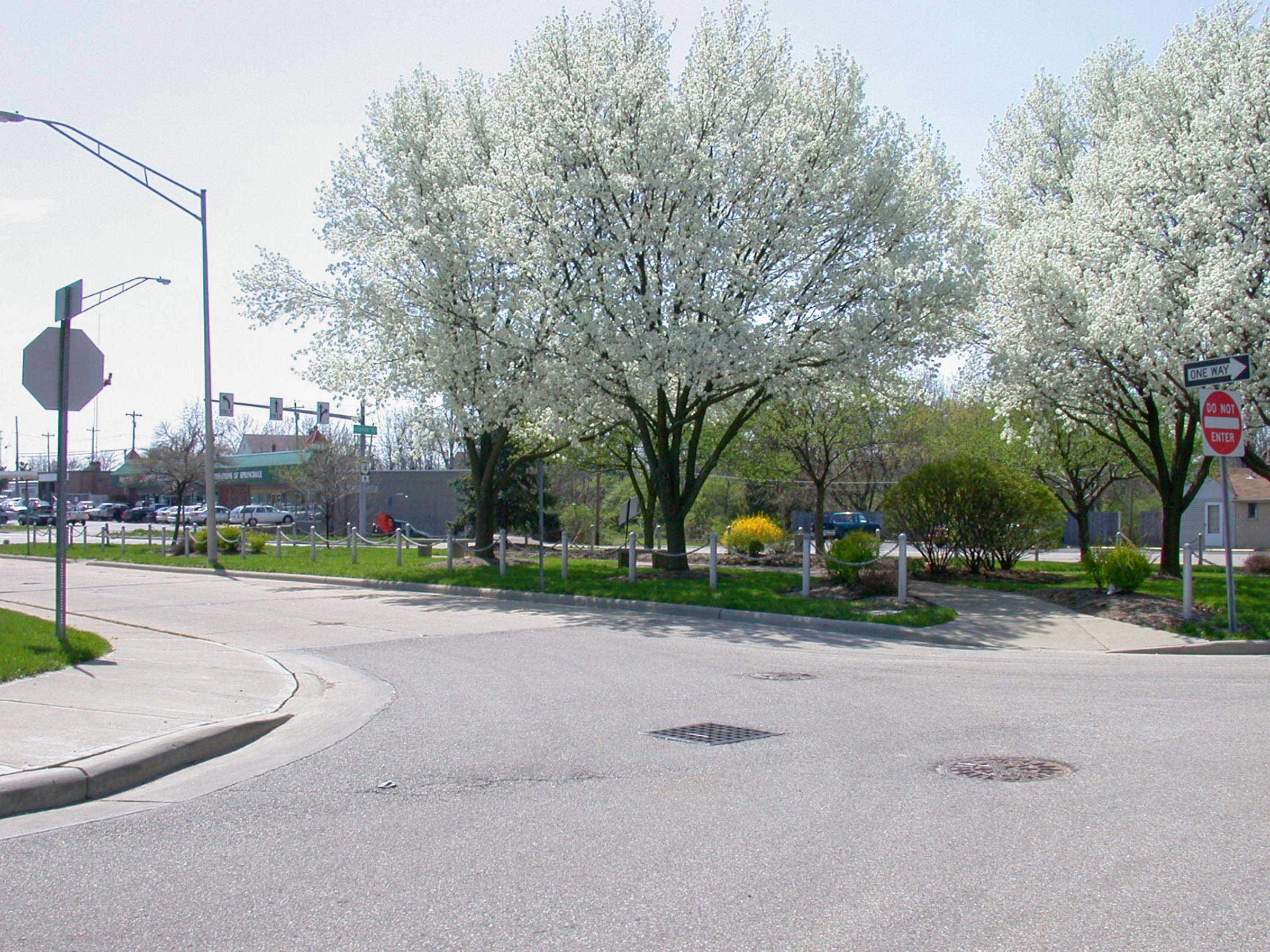 0023_EndofLineLoops-9 1