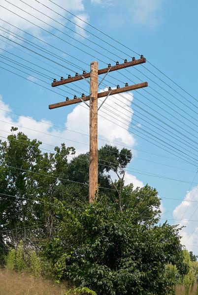 New communications poles along the former CH&D in Elmwood Place