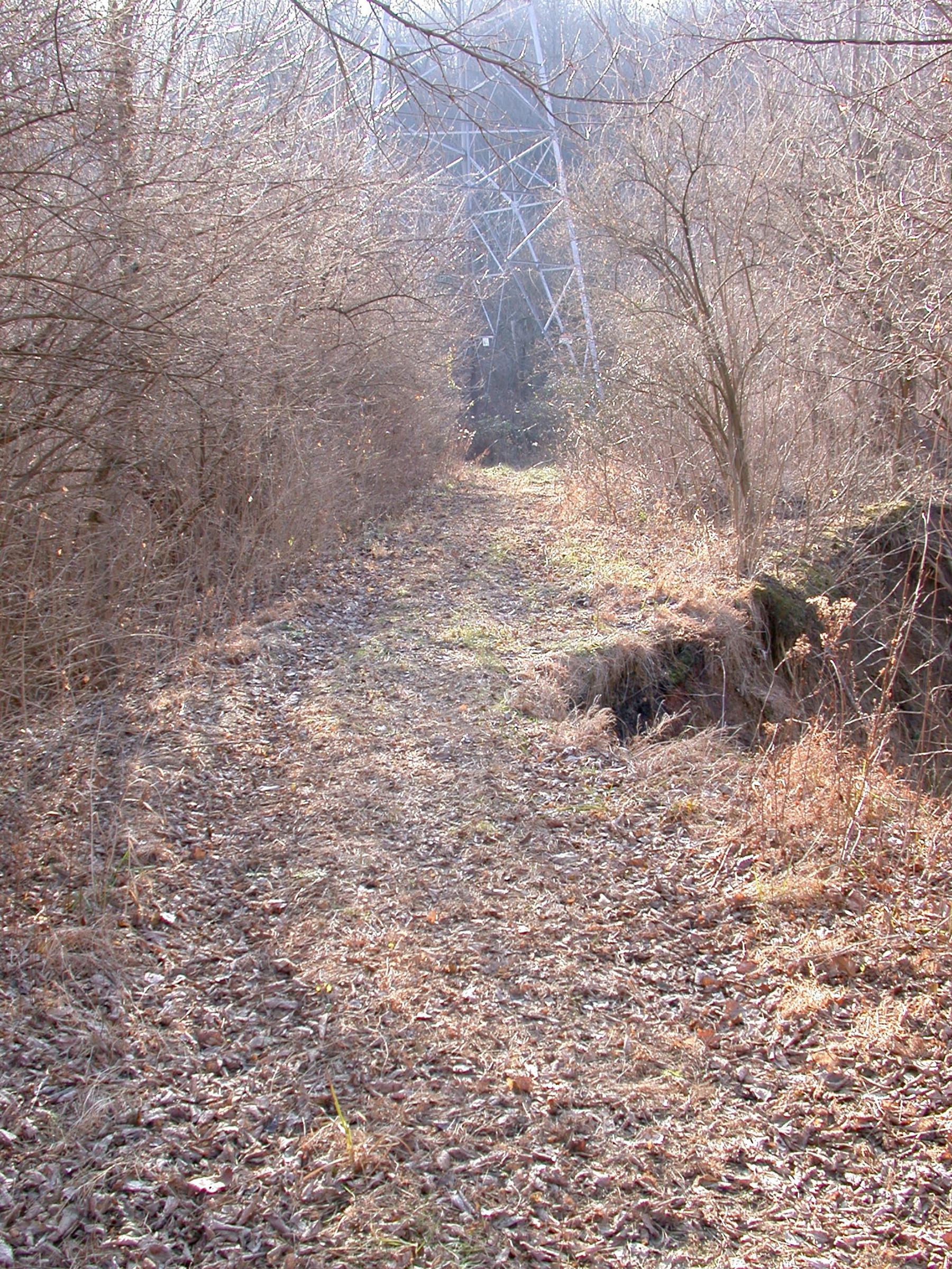 0017_CincinnatiLakeErie-12