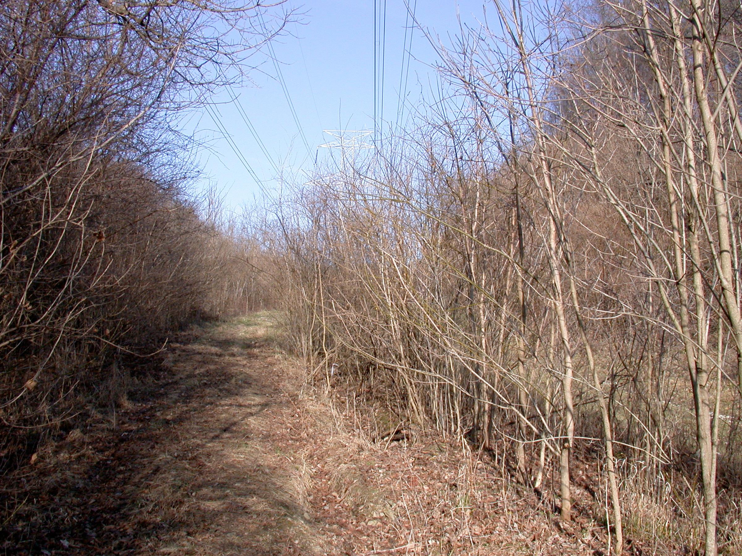 0018_CincinnatiLakeErie-13