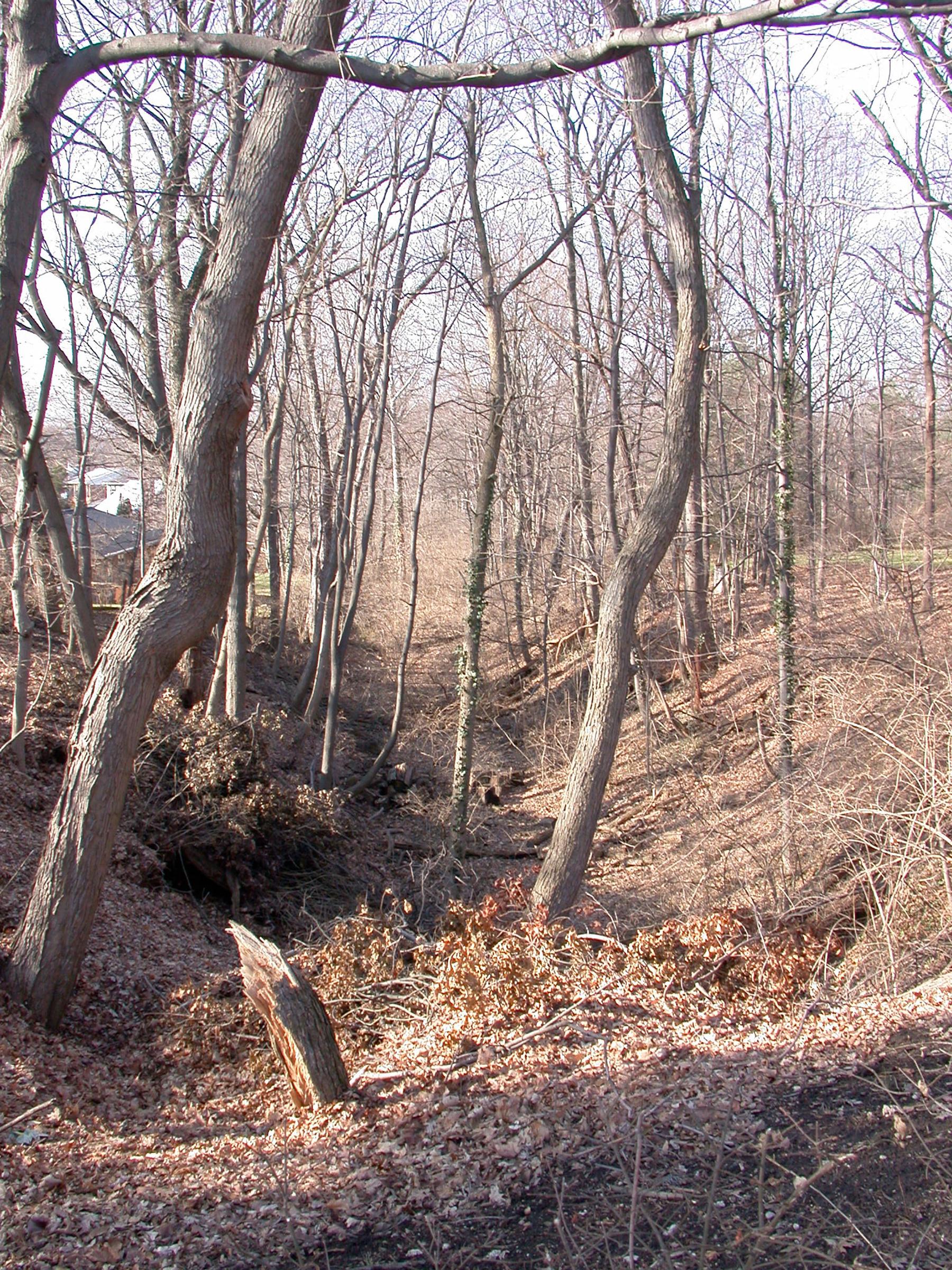 0009_CincinnatiLakeErie-23