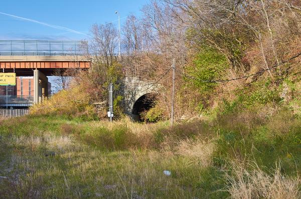 South portal of the CL&N McMillan Street tunnel in Walnut Hills