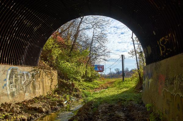Inside the CL&N McMillan Street tunnel in Walnut Hills