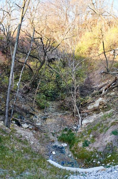 Buried north portal of the CL&N McMillan Street tunnel in Walnut Hills