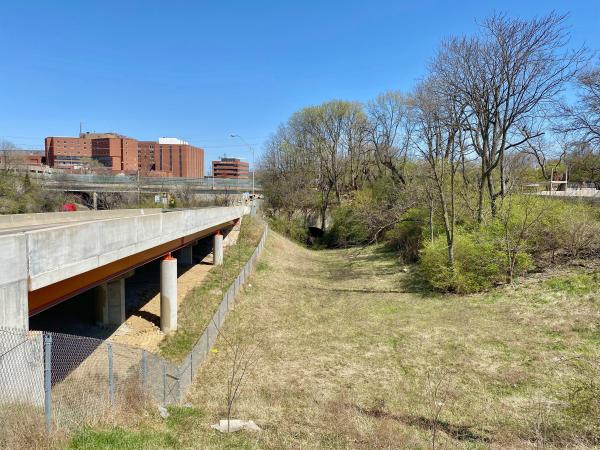 Another view of the CL&N Oak Street Tunnel south portal