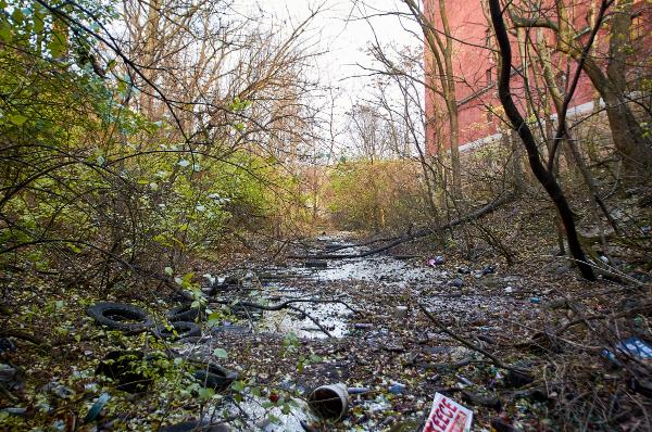 North approach to the CL&N Oak Street Tunnel in Walnut Hills