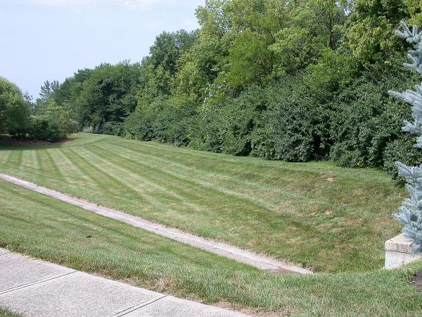 CL&N ROW, looking southwest from Timber Lane at Socialville-Foster Road