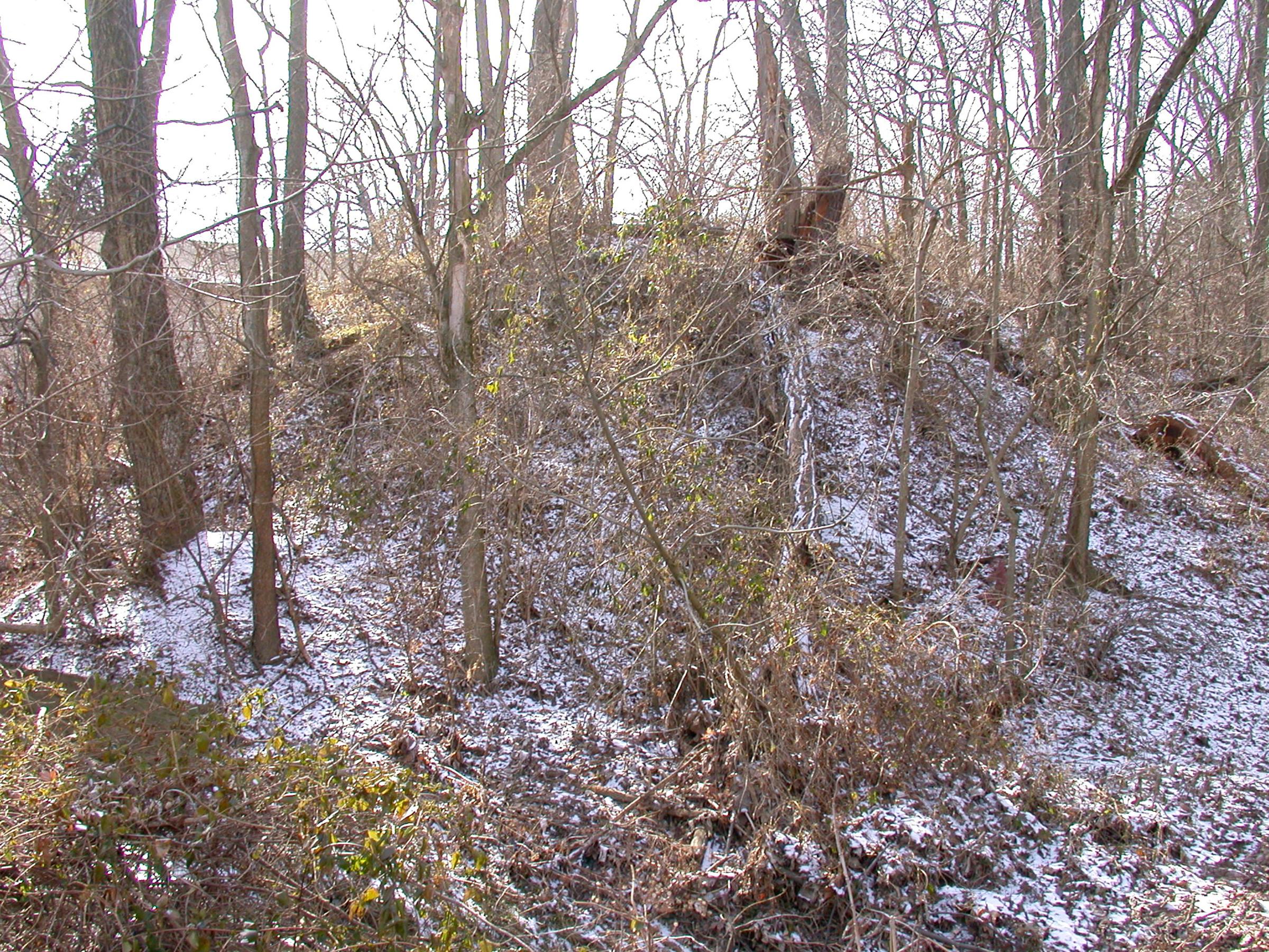 0065_Cincinnati_MilfordLoveland-41