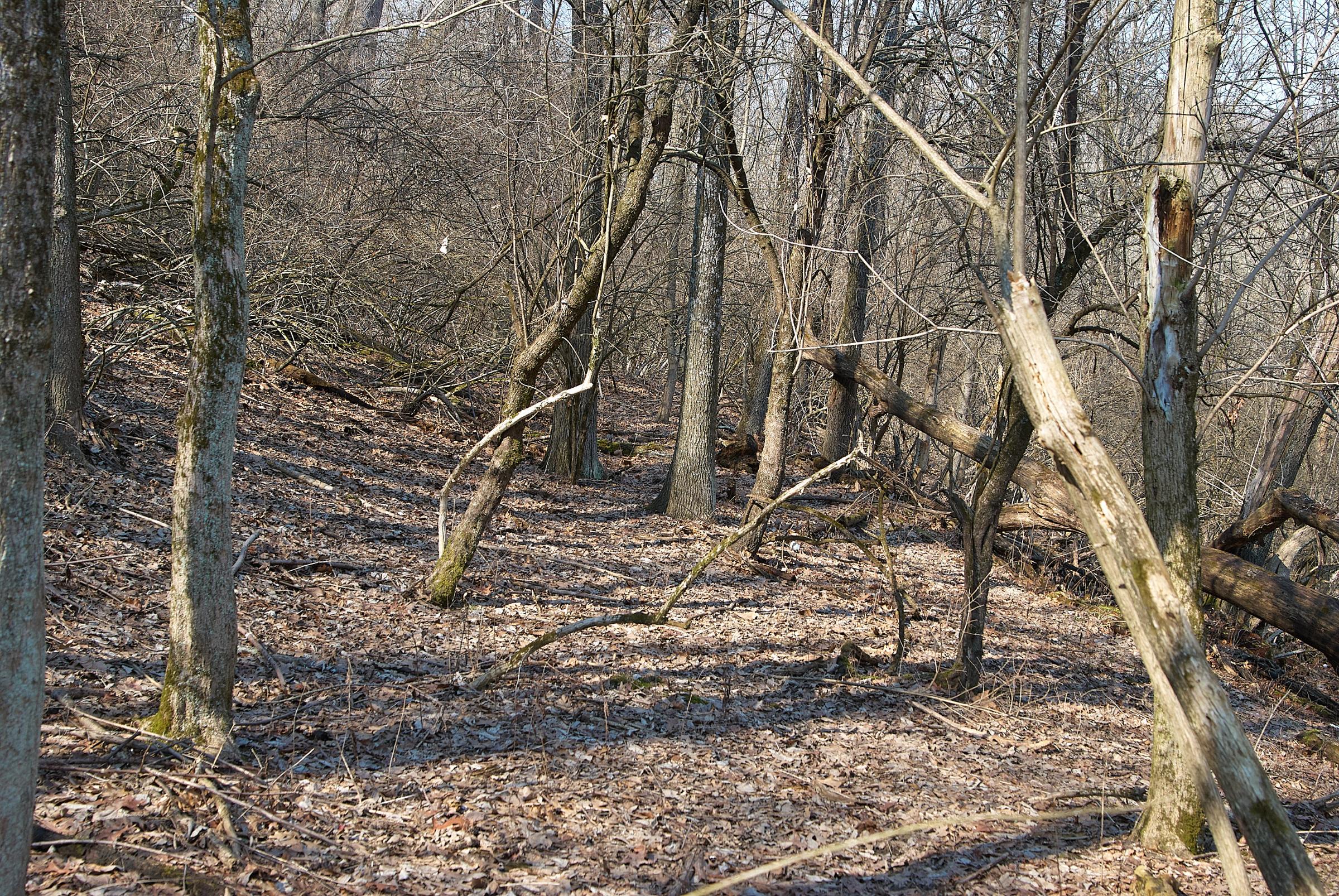 0014_DSC_7709