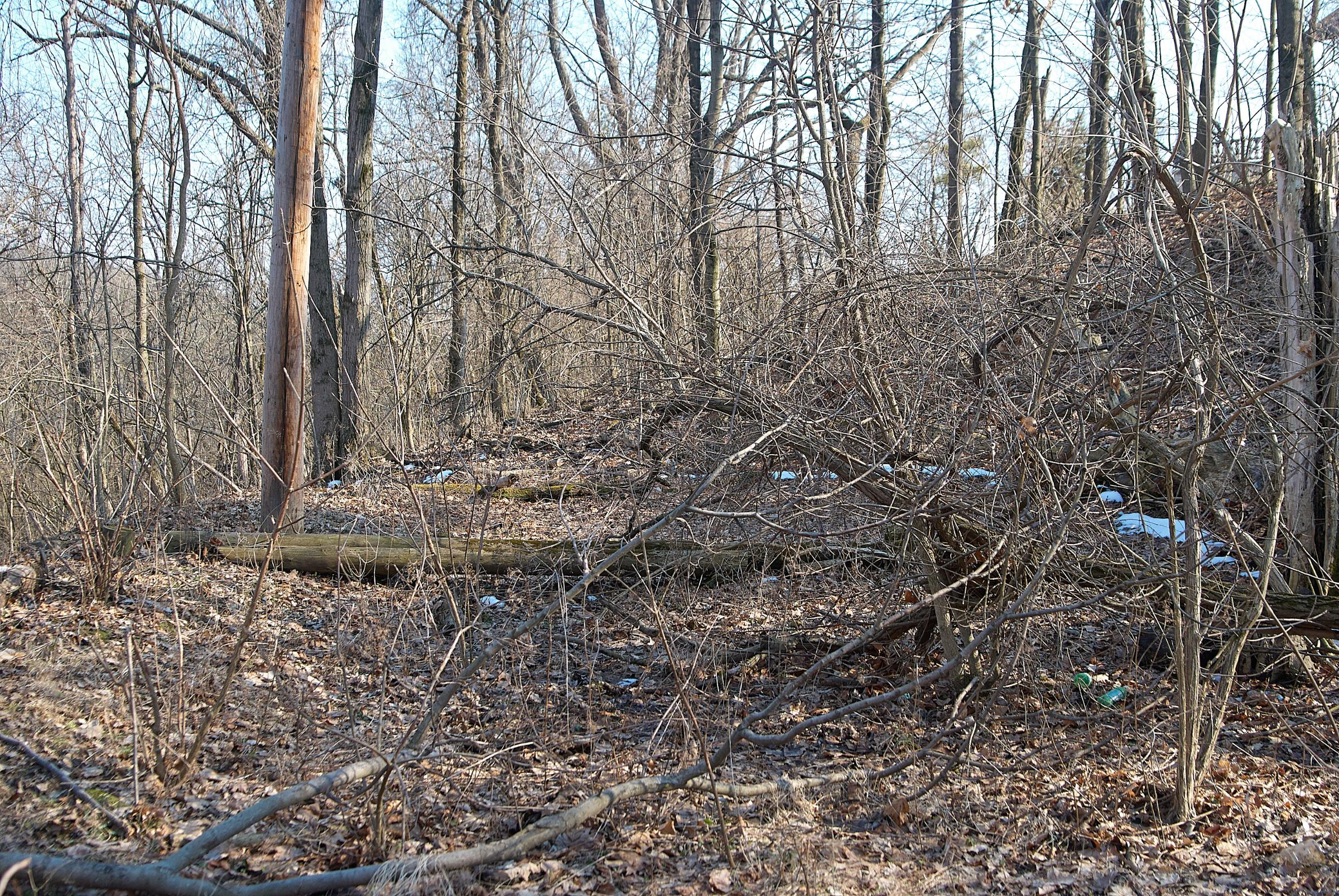 0018_DSC_7731