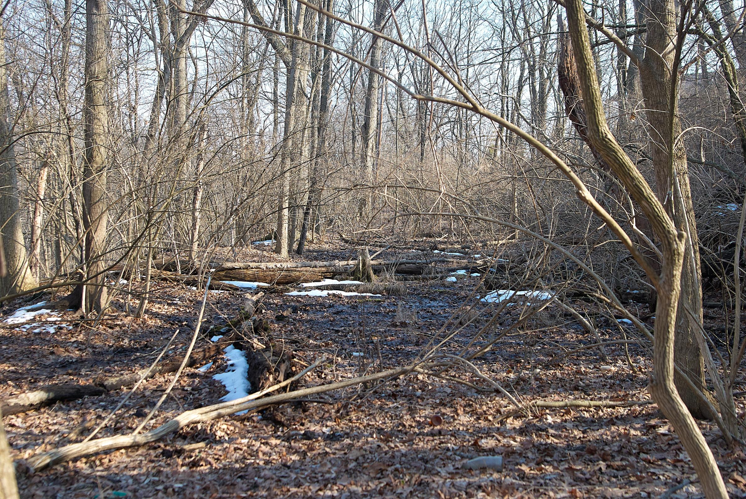 0019_DSC_7730