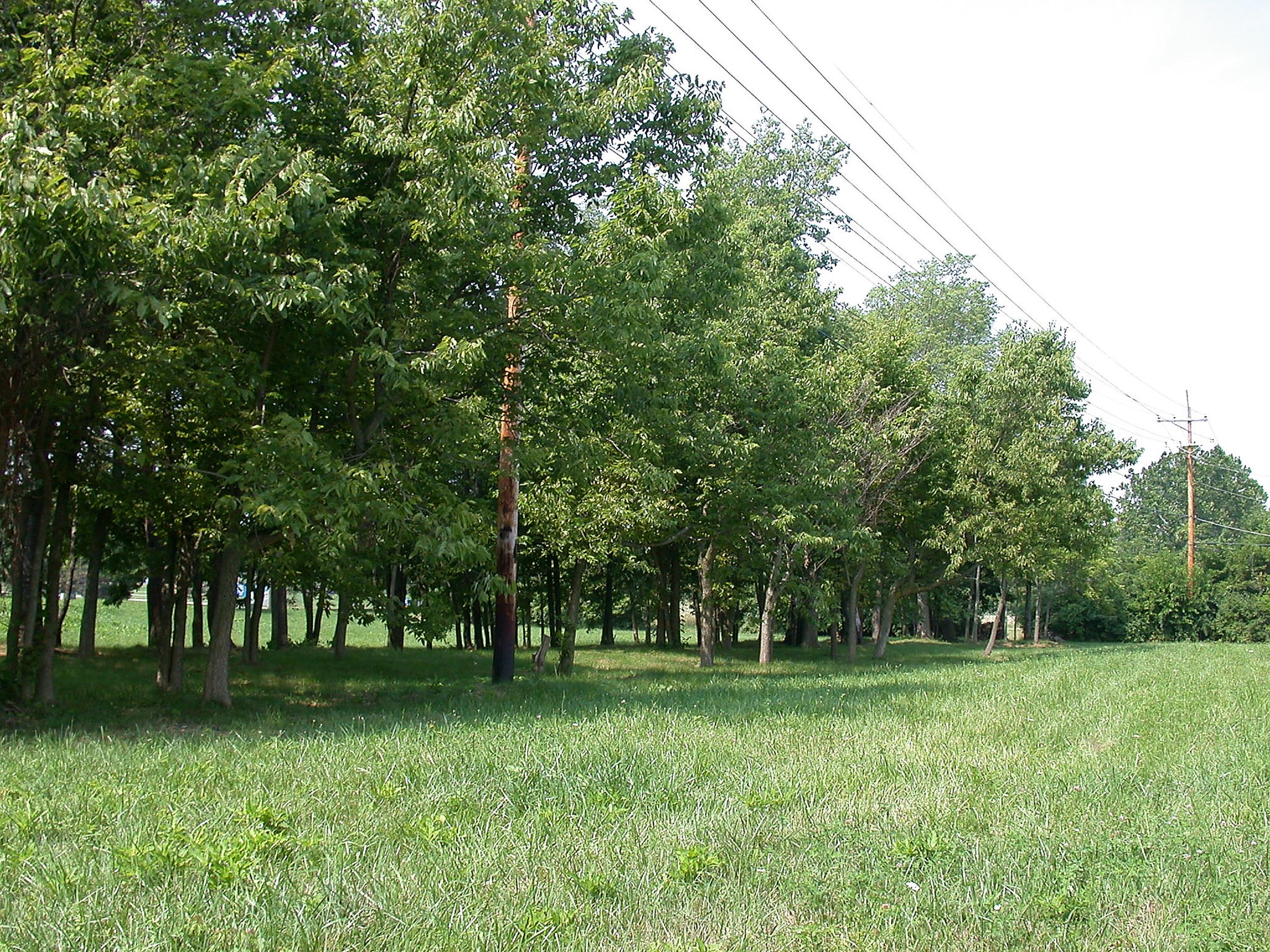 0020_InterurbanRailwayTerminal-RapidRailway-10